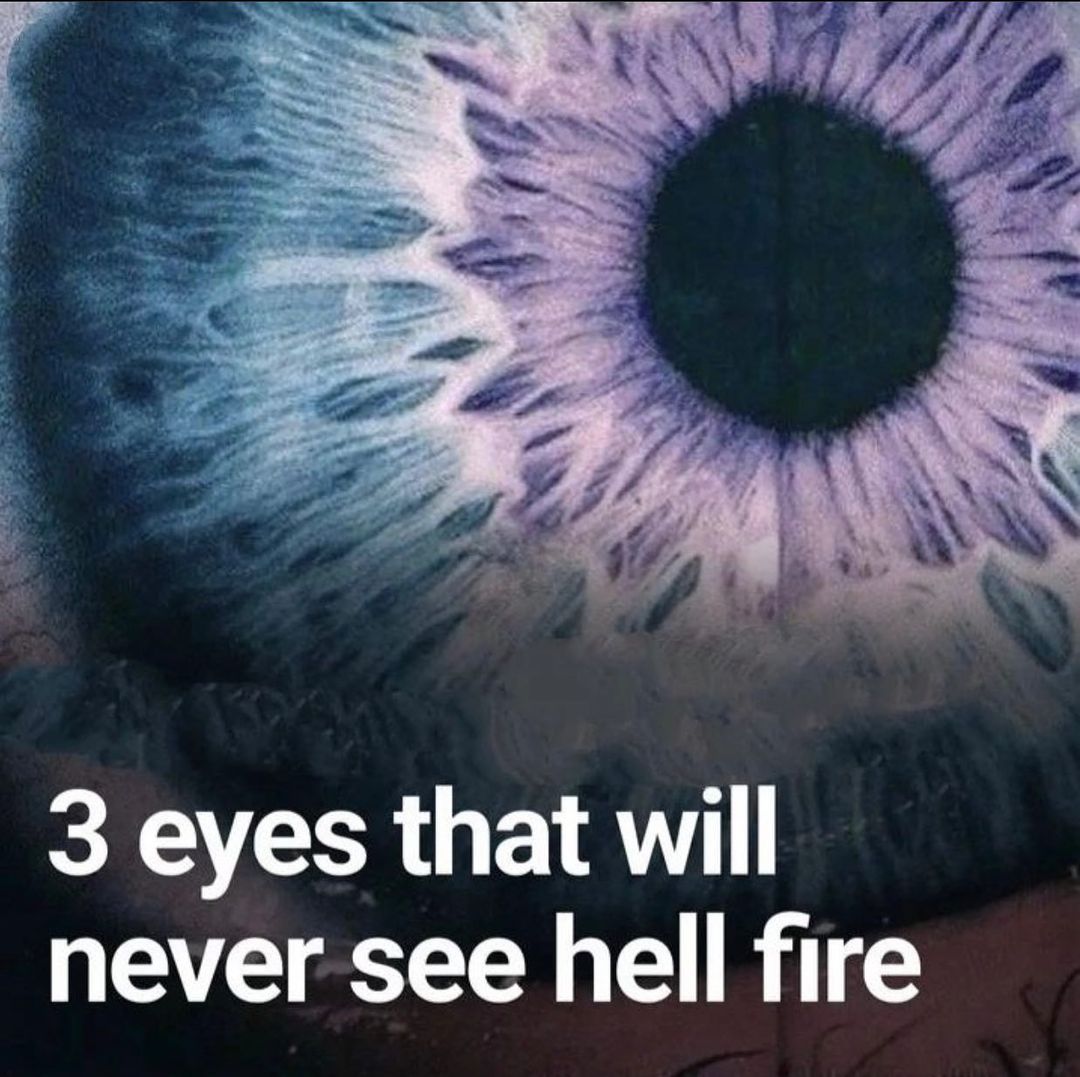 azgumel's tweet photo. 3️⃣Eyes That Will Never See Hellfire.👁️❌🔥

THREAD. https://t.co/41HPbpSfoU
