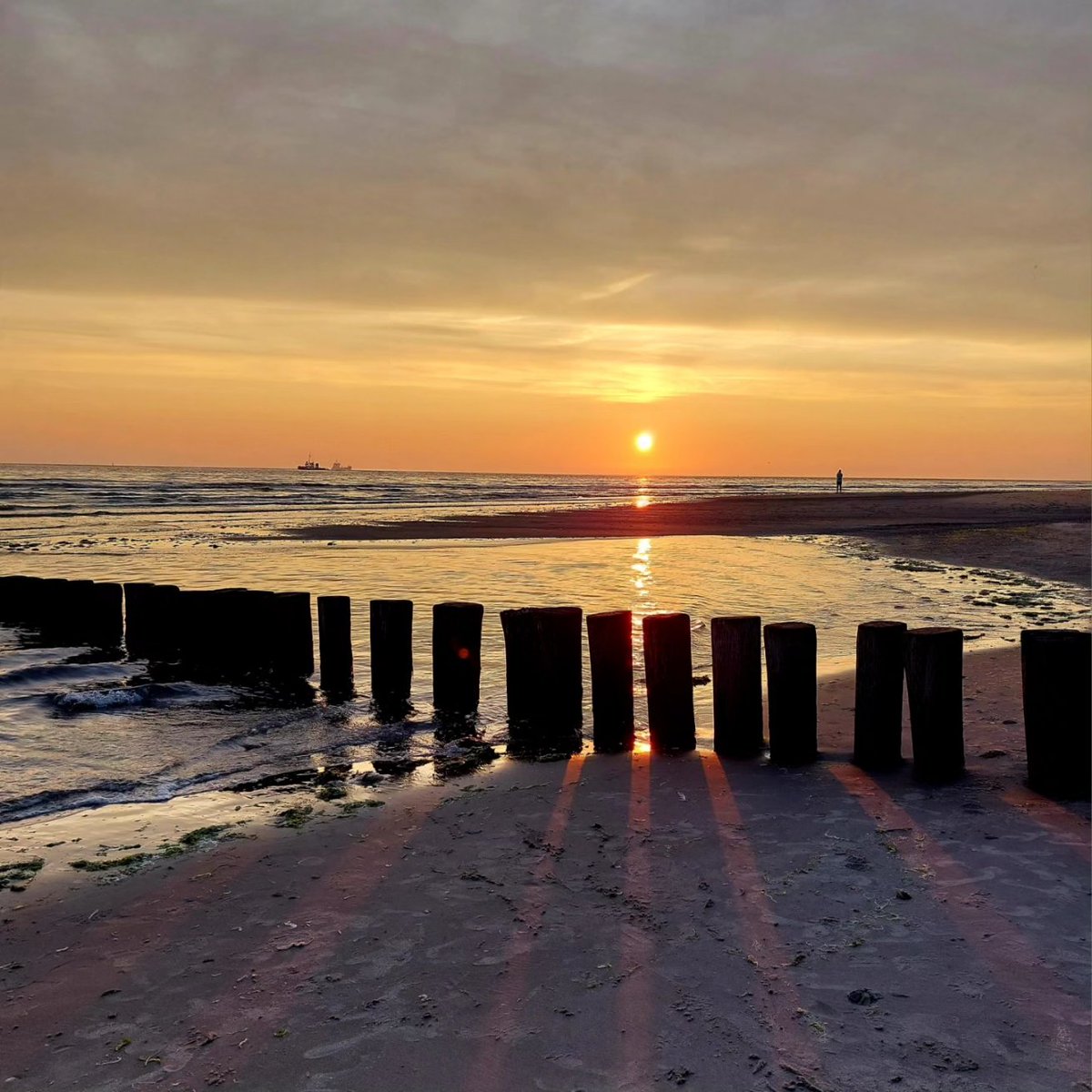 Ameland 😍