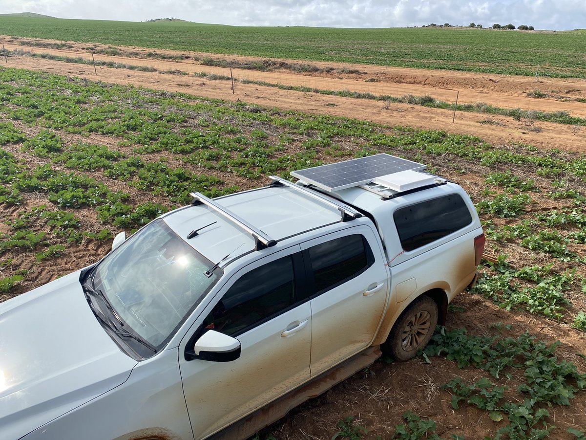 Flat mounted Starlink RV for internet in the paddock 👌 

How long until this tech comes standard on new cars?