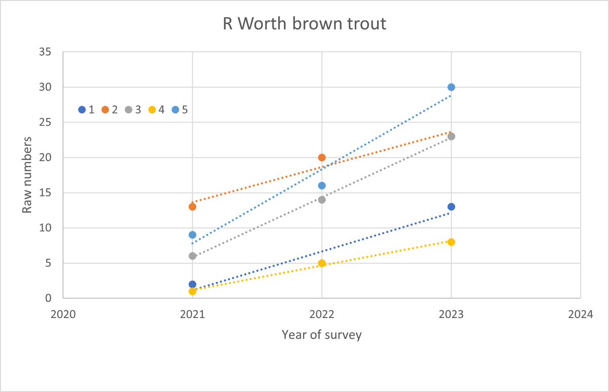 Annual <a href="/WildTroutTrust/">The Wild Trout Trust</a> fish population survey of the R Worth for @aireriverstrust. Water temp back to 15C after rain. Quick&amp;Dirty analysis of brown trout data show numbers boosted across 5 sites, esp by YoY this year. 6 species in lower reaches, 2-4 in upper. Still no grayling...