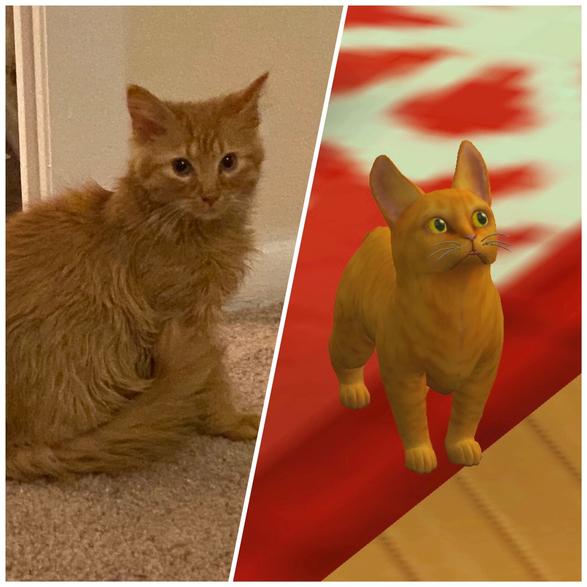 psychoteddyinc's tweet photo. I just got the Cats & Dogs expansion pack and decided to make my cats into Sims Pets! #Sims4 #SimsPets #Sims4Pets https://t.co/sewkxmYuQP