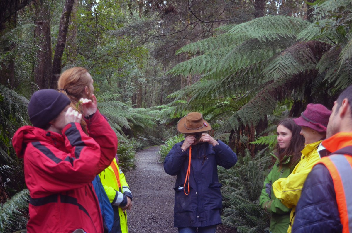 Tas_Land's tweet image. In May TLC, with @LandcareTas, conducted a workshop in #Strahan. TLC #ecologists, Anna Povey &amp;amp; Glen Bain, took participants on a walk to identify nearby #nativeflora &amp;amp; discover what makes great #habitat for our #nativefauna.
TY to all who attended despite the west coast downpour!