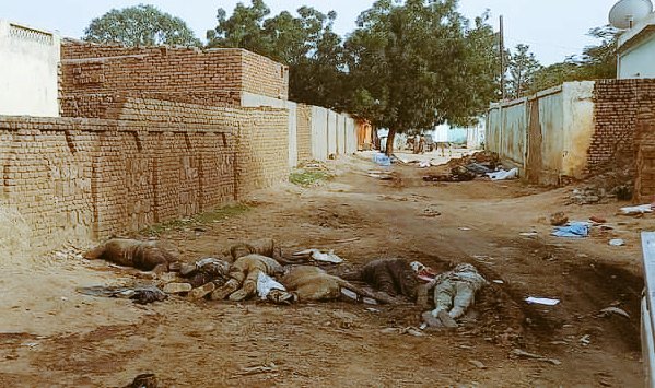 #El_GainenaWar  June 2023 update.
Many of the Dead Bodies scattered on the roads were decomposed in El Geneina, Until June 17, there was no significant intervention. 
#KeepEyesOnSudan