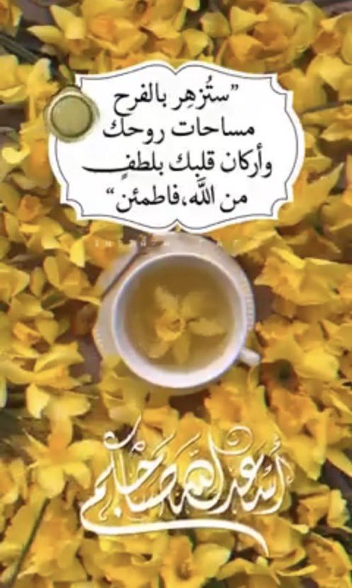 #صباح_الخير