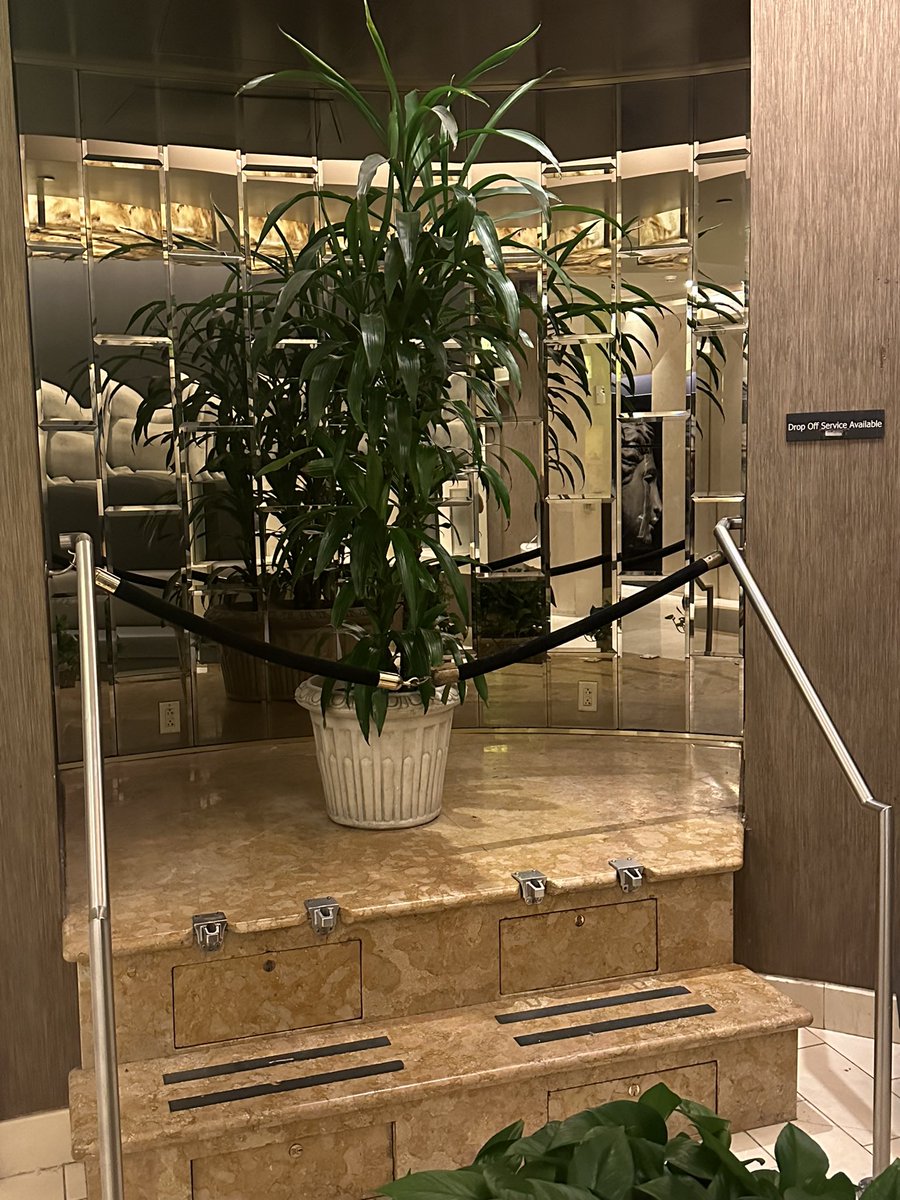 Vital Vegas tweet media