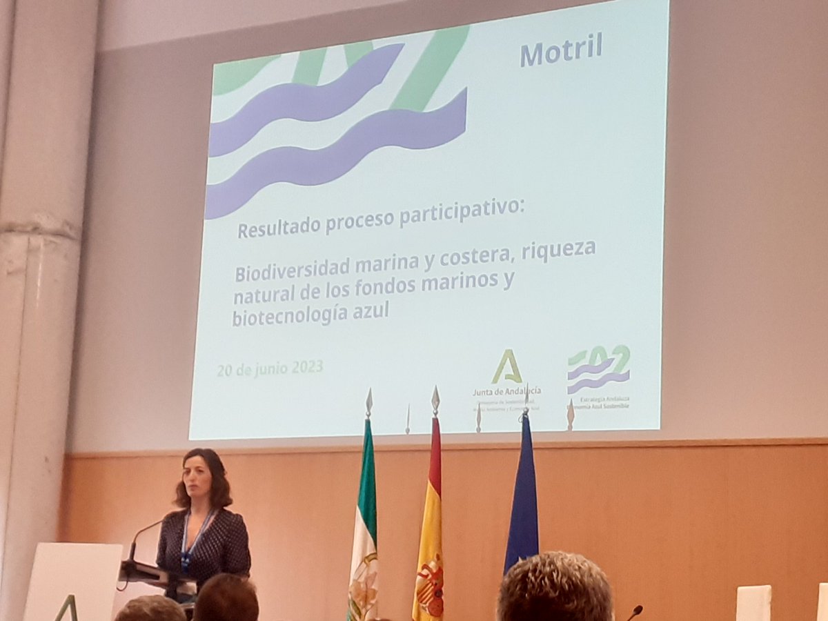 COAMBA (@coambaoficial) on Twitter photo 🔷️ <a href="/PaoJMA/">Paola</a> nos muestra el resultado del proceso participativo en dinámica grupal "desarrollo de actividades en medio marino. Innovación, tecnologías y transferencia del conocimiento"
¡Enhorabuena compañera!
#somosCoamba
#ambientologa #ambientologo
<a href="/MedioAmbAND/">Consejería de Sostenibilidad y Medio Ambiente</a> <a href="/puertodemotril/">Puerto de Motril</a> 🔷️ <a href="/PaoJMA/">Paola</a> nos muestra el resultado del proceso participativo en dinámica grupal "desarrollo de actividades en medio marino. Innovación, tecnologías y transferencia del conocimiento"
¡Enhorabuena compañera!
#somosCoamba
#ambientologa #ambientologo
<a href="/MedioAmbAND/">Consejería de Sostenibilidad y Medio Ambiente</a> <a href="/puertodemotril/">Puerto de Motril</a>