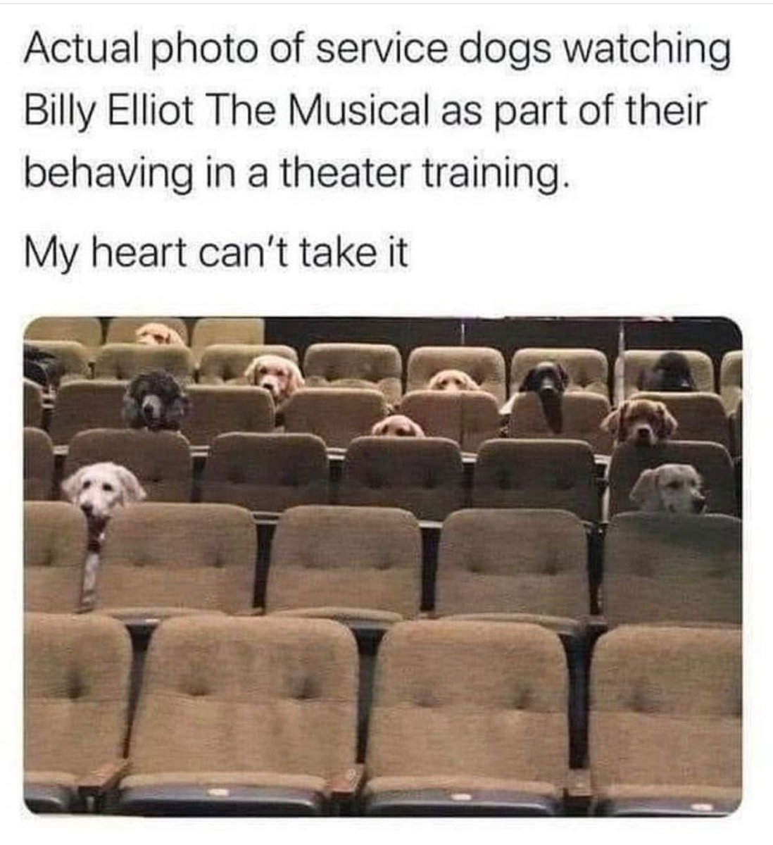 Denise Welch tweet media