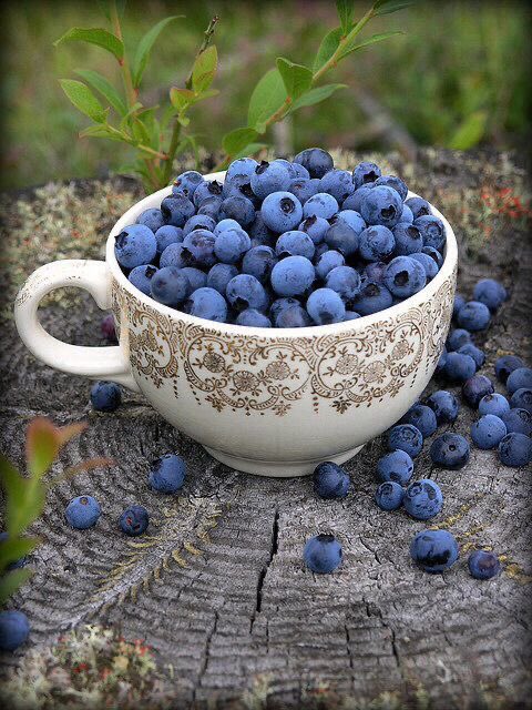 3. Blueberries

These have a ton of: 

•Fibre
•Vitamin C
•Vitamin K 
•Antioxidants

Great for your skin, improving circulation, and boosting collagen.