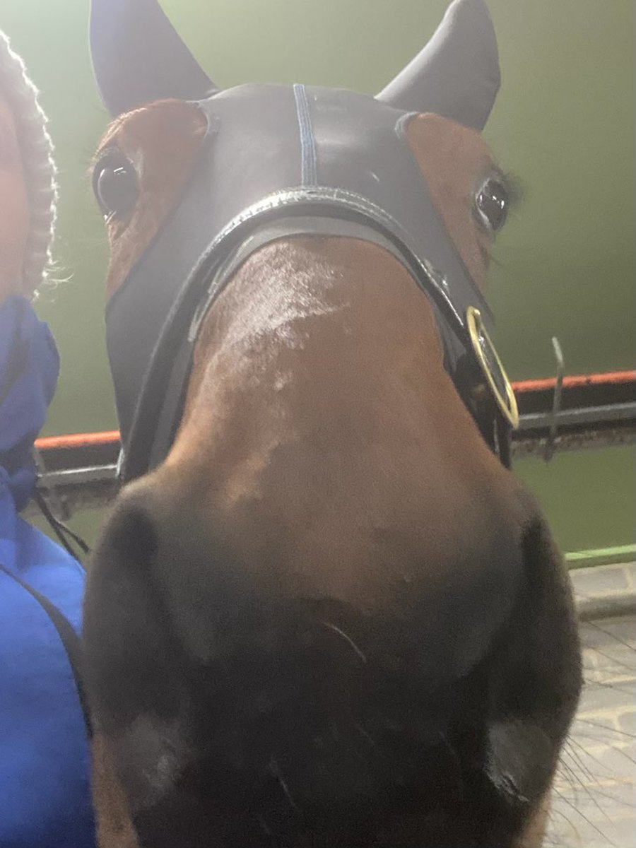 Ian Bennett tweet media