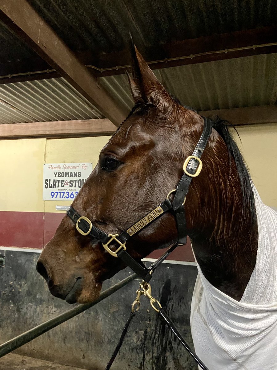 Ian Bennett tweet media