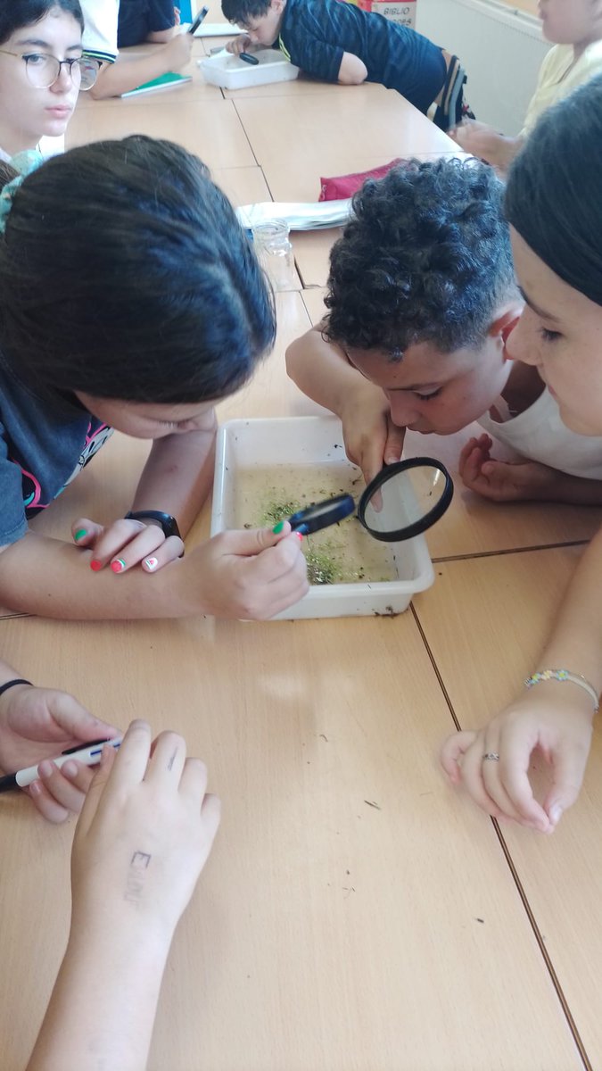 Avui els grups de cinquè finalitzem la ronda de visites a La Bassa del Dalí. Allà, hem fet un treball d'investigació sobre tots els  "habitants" i les plantes que hem trobat. 😊🌿🌱🌡️🐦‍⬛🐌🦟🪳🦠