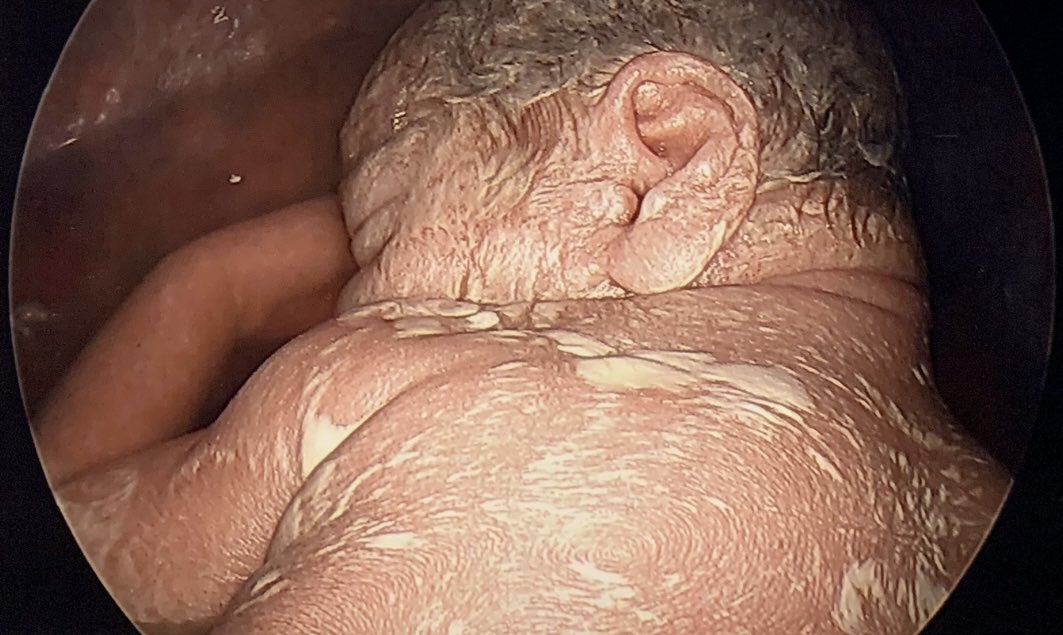 Ramen Chmait tweet media