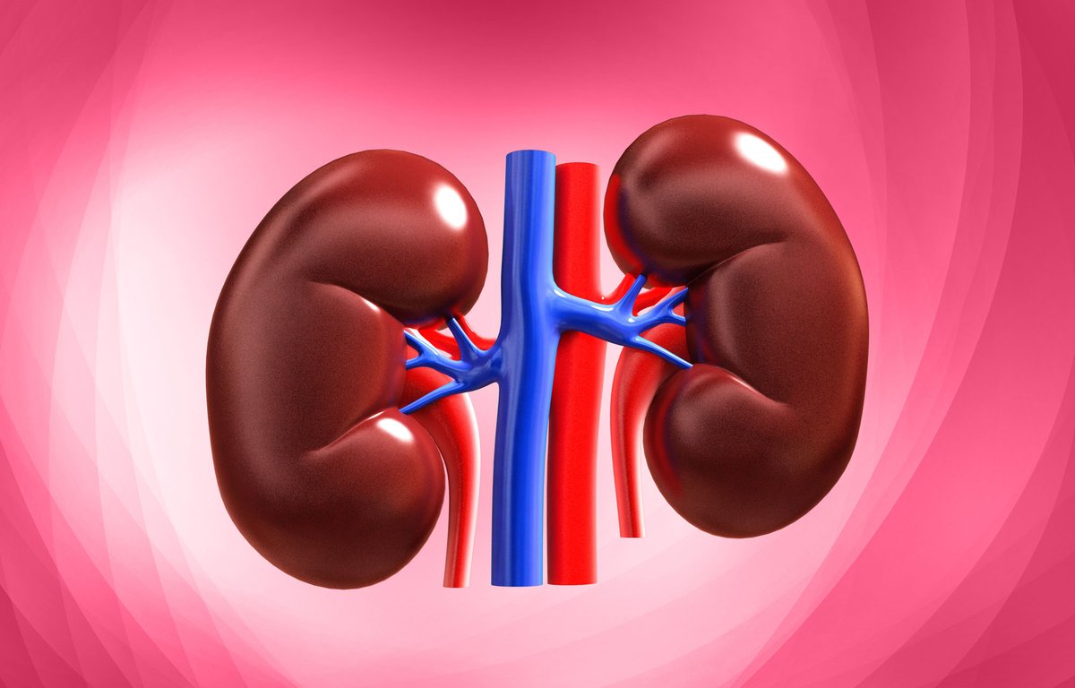 Your kidneys are your best friends.