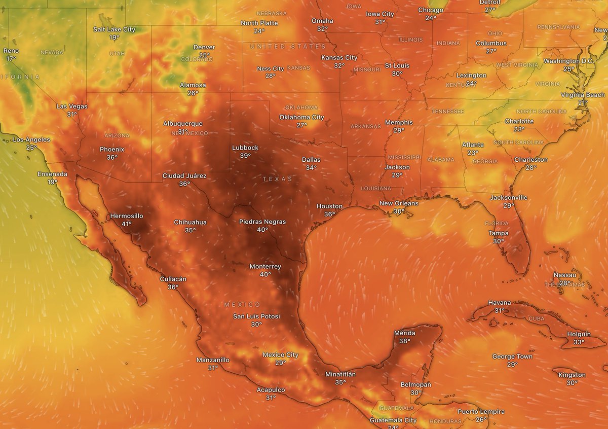 PGDynes's tweet photo. #Texas is like a steam room! They are experiencing an intense and extended period of extreme heat added to high humidity. The heat indexes have exceeded 120 degrees, and there is no indication of an upcoming relief. When the electricity lines melt - the aircon stops...then what? https://t.co/fc1t54fW32