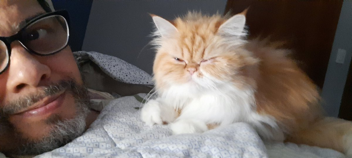 YobaniQuintero's tweet photo. Buenos días amigos.

Les escribo con el corazón roto. El día de ayer mi gata #SienaDelilah se escapó del apartamento. Posiblemente cayó desde algunos pisos de altura al estacionamiento. Un vecino la vio que salió corriendo hacia la calle. https://t.co/fArOtWXSEl
