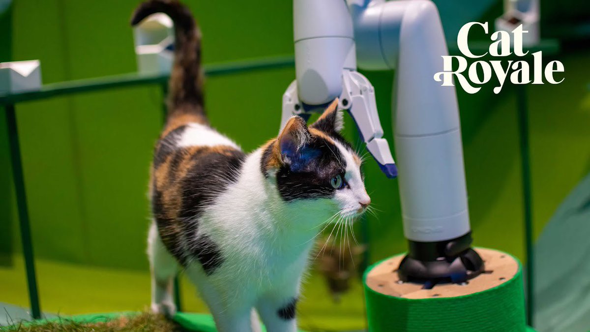 Opening tomorrow: an amazing season on AI at @SciGalleryLon. Visit the @blasttheory exhibit #CatRoyale (Cats! Robots!), watch the video, and take part in a @tas_hub live research project by completing our in-gallery survey. cc. @kingsartshums @kingsdh @TheOfficialMRL