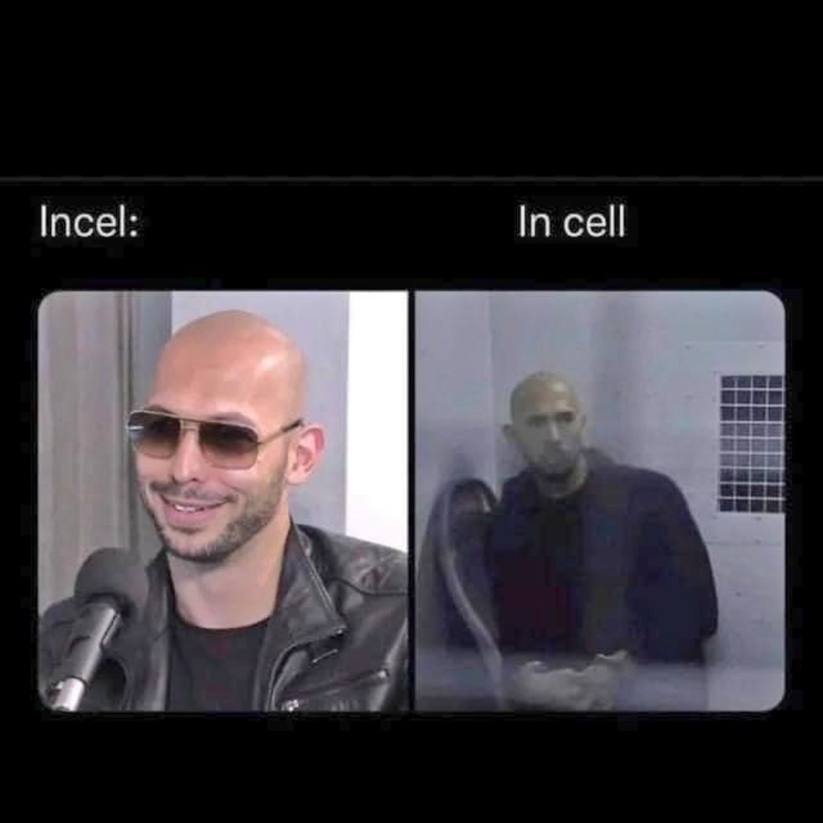 TheStephenRalph's tweet image. That's my day/week/month/year made! 🙃
#AndrewTate #Incel #InCell