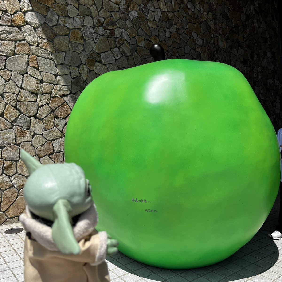 🍏💪

#Grogu #babyyoda #TheMandalorian #ThisIsTheWay #StarWars