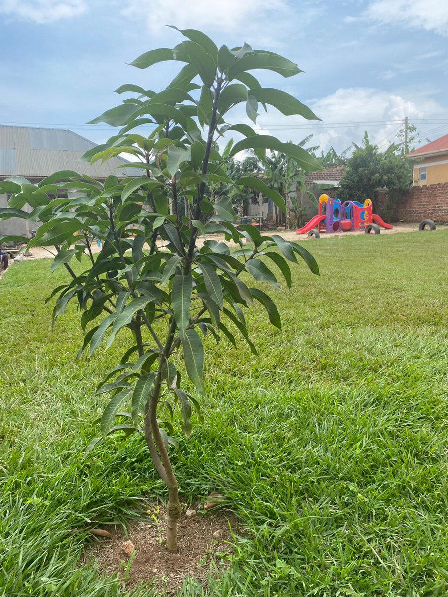 Omuti Initiative tweet media