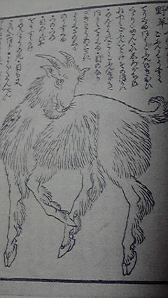 東海坊散人がチョキチョキ描くときにつかったテツゾーの羊の絵、かんぜんにわかってしまったな。