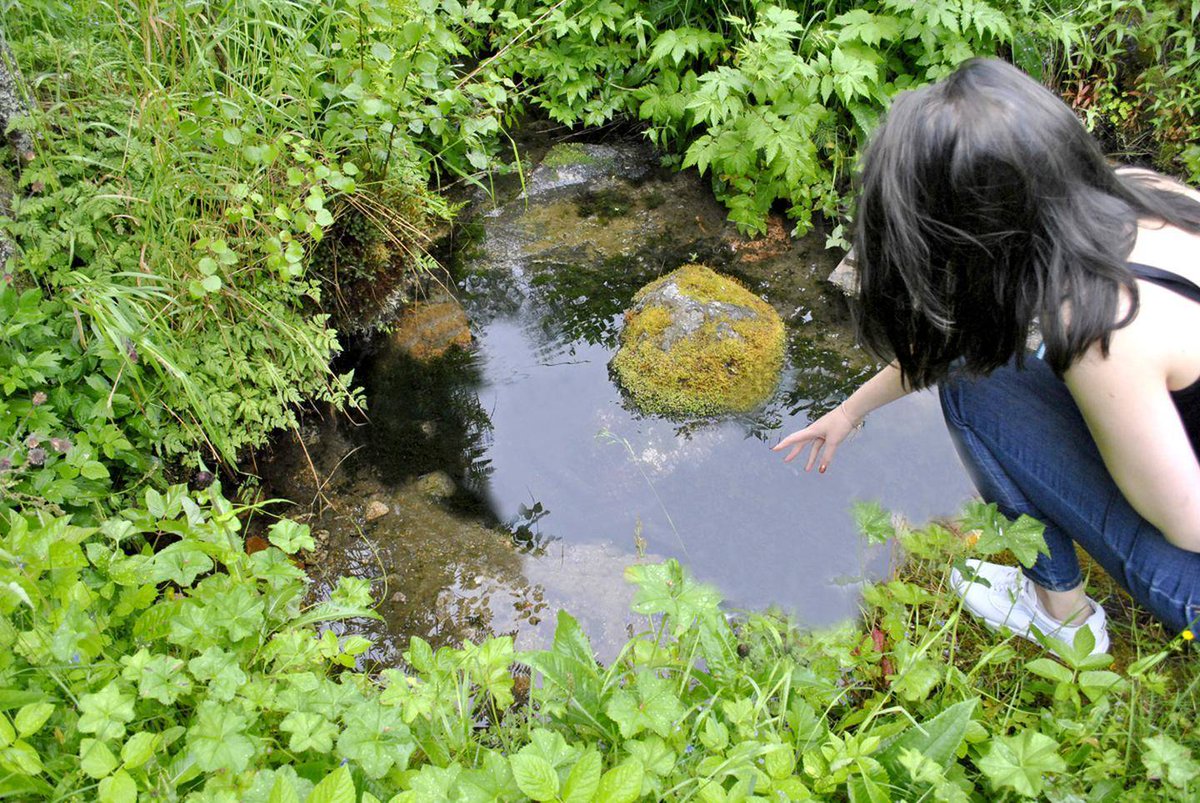 FinnFolklorist's tweet photo. There is an old belief in Finlad that if you peek in a well,  a spring or a pond at Midsummer night you can see an image of your future spouse.  1/2
#FairytaleTuesday https://t.co/ioCZvDiwrB