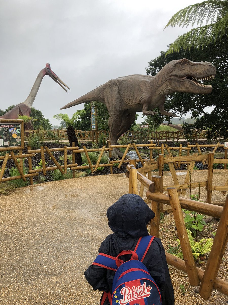 JonesMrsL's tweet photo. J is loving the dinosaurs 🦕 #YWP @PrincipalSTH @MissClayton__ @y1sthelens https://t.co/dbmReG7qXi