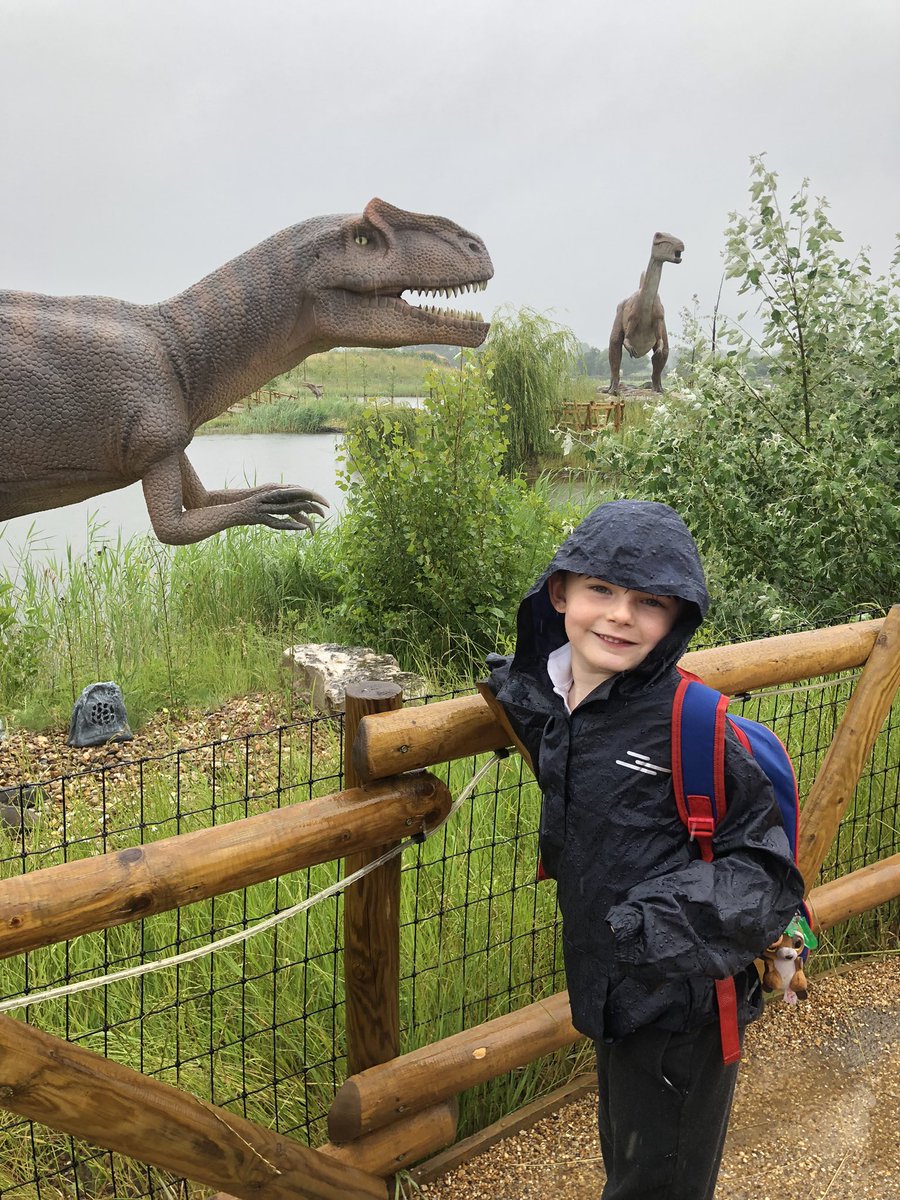 JonesMrsL's tweet photo. J is loving the dinosaurs 🦕 #YWP @PrincipalSTH @MissClayton__ @y1sthelens https://t.co/dbmReG7qXi
