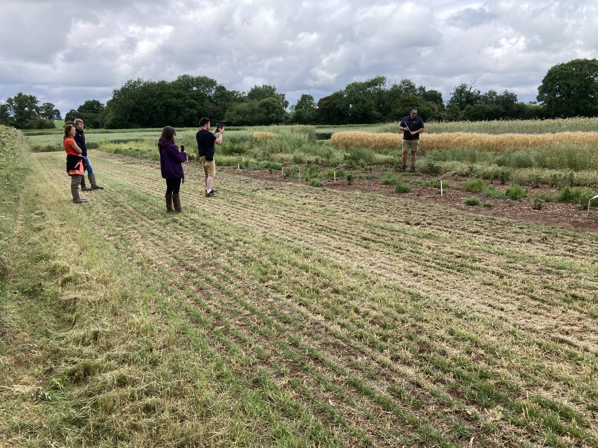 Gareth Bubb tweet media