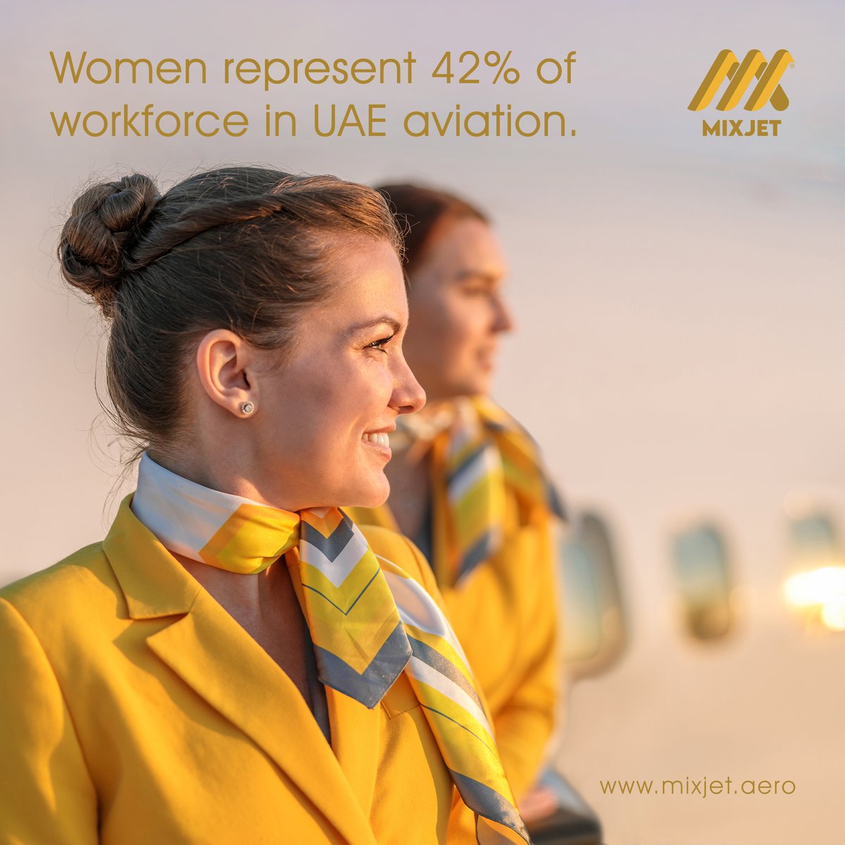 MixJet Flight Support tweet media