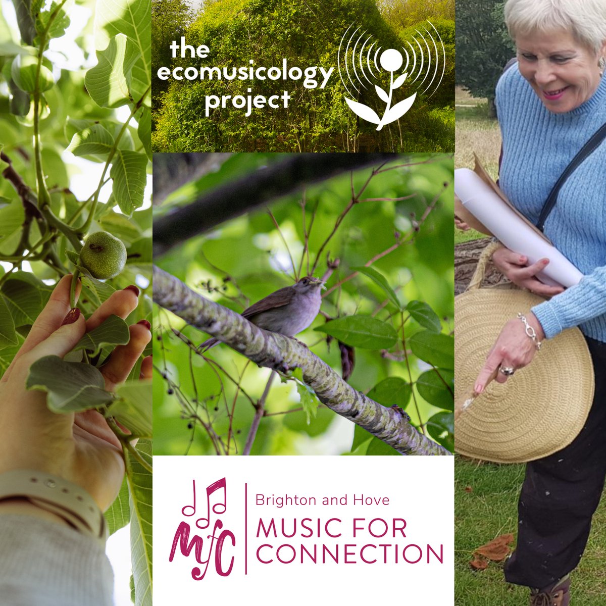 🌻What can you HEAR, this summertime? What are the 'sounds' of summer, in Sussex?🌻

NEW: an Interactive Listening Walk (ages 50+)

🌳Exploring nature/deep listening
🌳Sound-making in beautiful #stanmerpark

Event 1 bit.ly/44aNv99
Event 2 bit.ly/3pfQlv2
