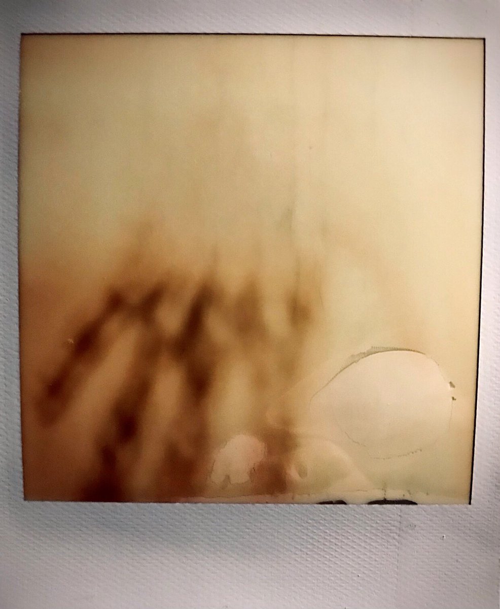 the aesthetic of polaroid edges 
(expired polaroid instant film) 
'Limbus'
#365in2023 
#365in2023dailyprompt 
Tuesday 20.6.23
#MattAllanPhotography