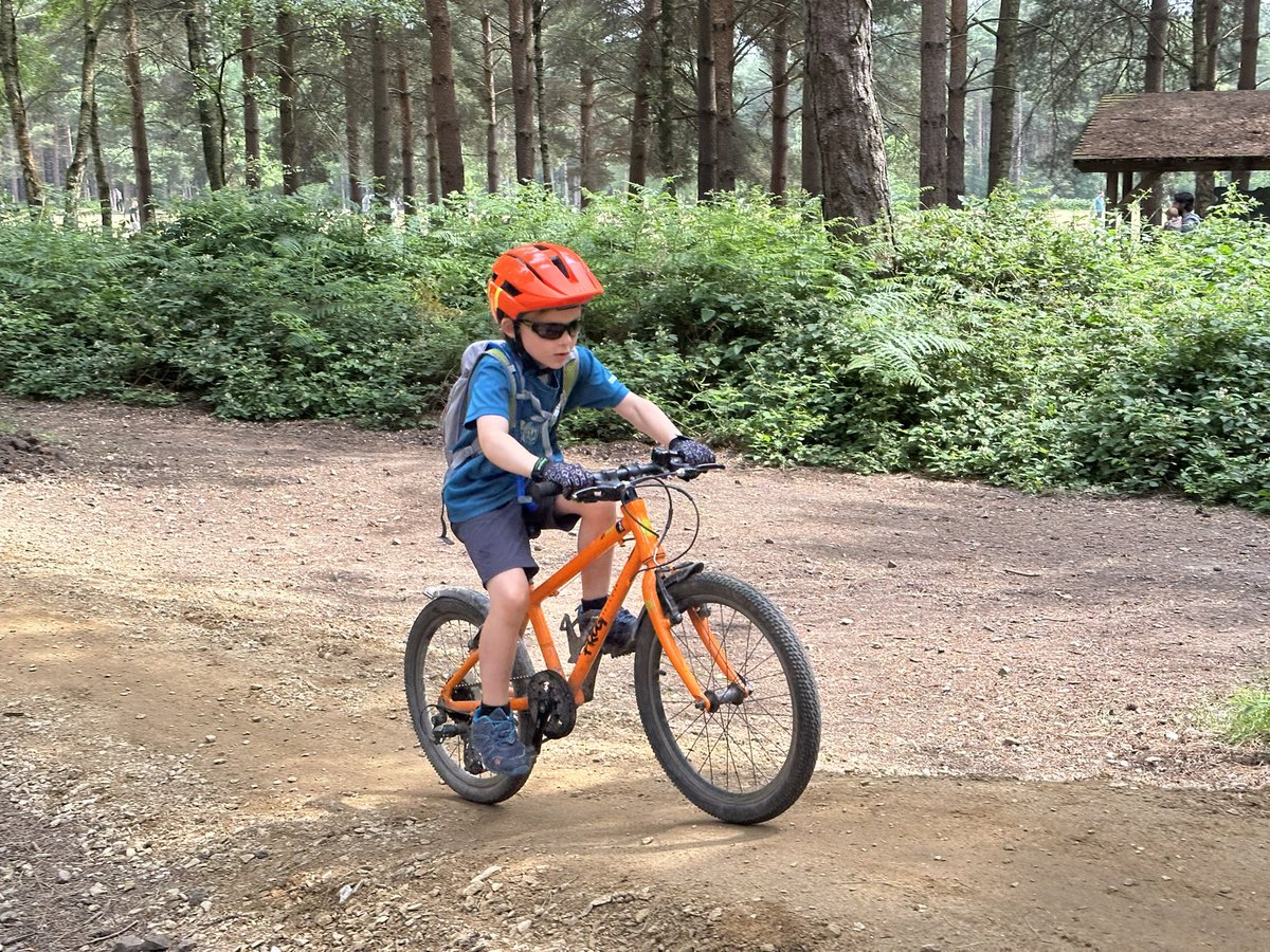 Nick Pritchard tweet media