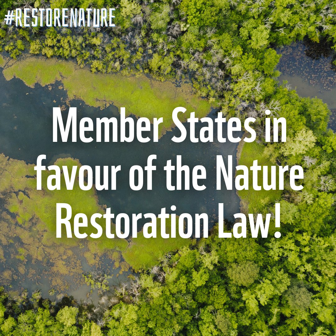 WWFEU's tweet photo. 🚨 BREAKING: Member States in favour of the #RestoreNature law!

EU countries, who will be in charge of implementing the law, send a strong message to the opposition in the Parliament - there is a will &amp; need to restore nature in Europe.

Our reaction: https://t.co/VxnMDxt5Th https://t.co/WfCgHCPw1Y