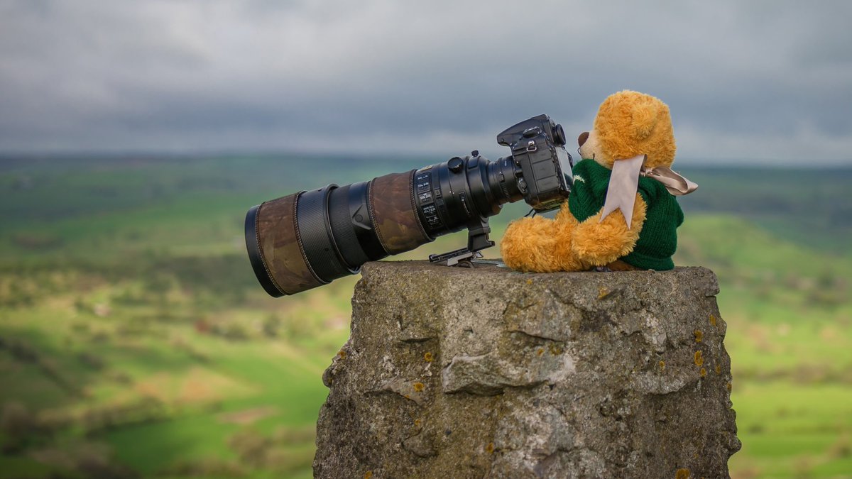 Wilber Wheeldon Bear loving life on top of High Wheeldon.