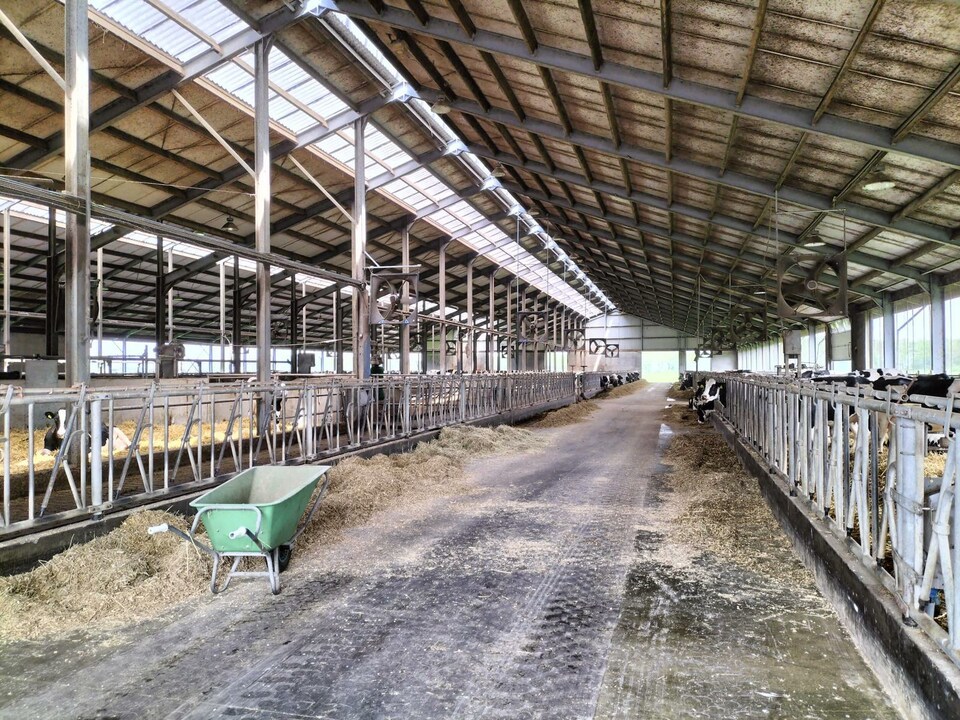 ForFarmersUK's tweet photo. Members of the #ForFarmersUK technical team travelled to NL to take part in a #drycow study tour.
They visited a nearby #dairyfarm & received a talk from Professor Veerle Fievez from @ugent on transition. Overall, the team really enjoyed it and look forward to future discussions. https://t.co/j5kTY8Bgm8