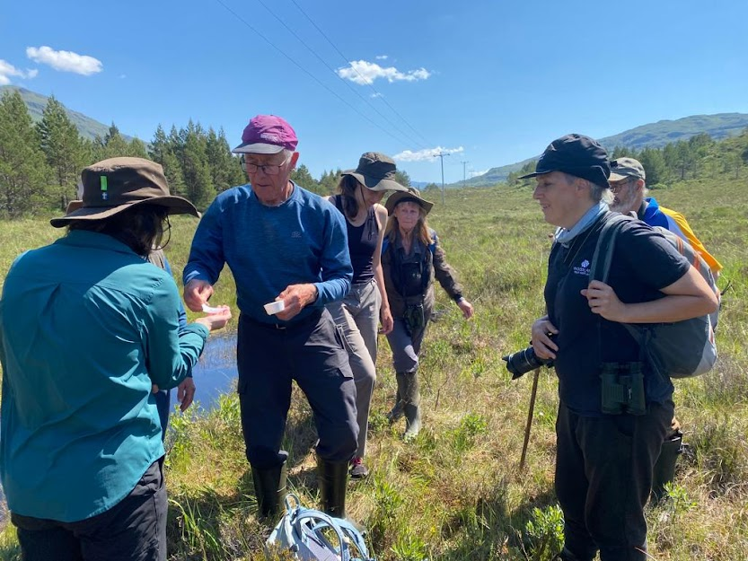 ScotlandBds's tweet photo. We had a brilliant day's training at tropical Shieldaig/ Kinloch last week with Northern Emerald, White-faced Darter &amp; Keeled Skimmer among other beauties! Special thanks to Graham Rennie for all his help &amp; local knowledge. #TeamDragonfly https://t.co/H4Dee2xSVi