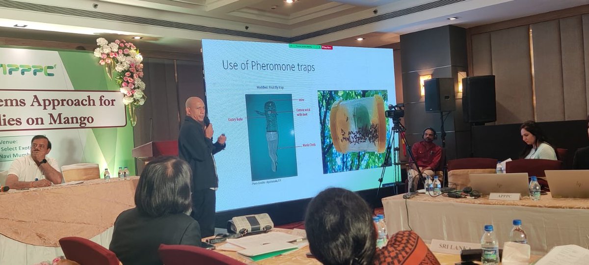 AgriGoI's tweet photo. Representatives from different countries such as Bangladesh, Thailand, Sri Lanka, Philippines, Nepal etc shared their case study on “Pre-harvest Integrated Pest Management for mango pests, record keeping..
#agrigoi #agriculture #fruitflies #mango #management #APPPC #plantation https://t.co/XQthpeSlGN