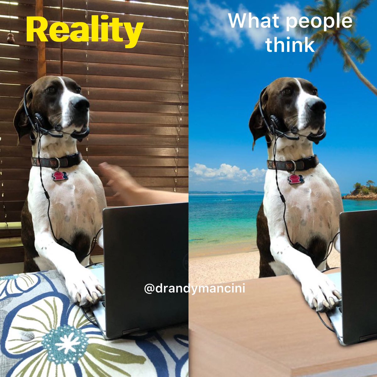 I want you in your cubicle by 7:00 am
Are we working like a dog? And no one is throwing a bone?
#letsconnect #follow #itworld 
#smile #DigitalNomads #workhorse #WorkFromAnywhere
#EmbracingChange
#WorkLifeIntegration
#HumanConnections #DigitalReality #dental #dentistry #callcenter