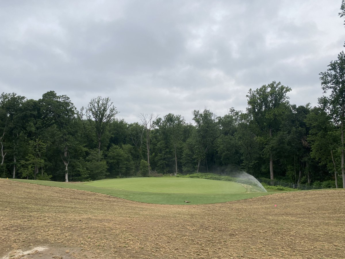 Mark Harrison tweet media