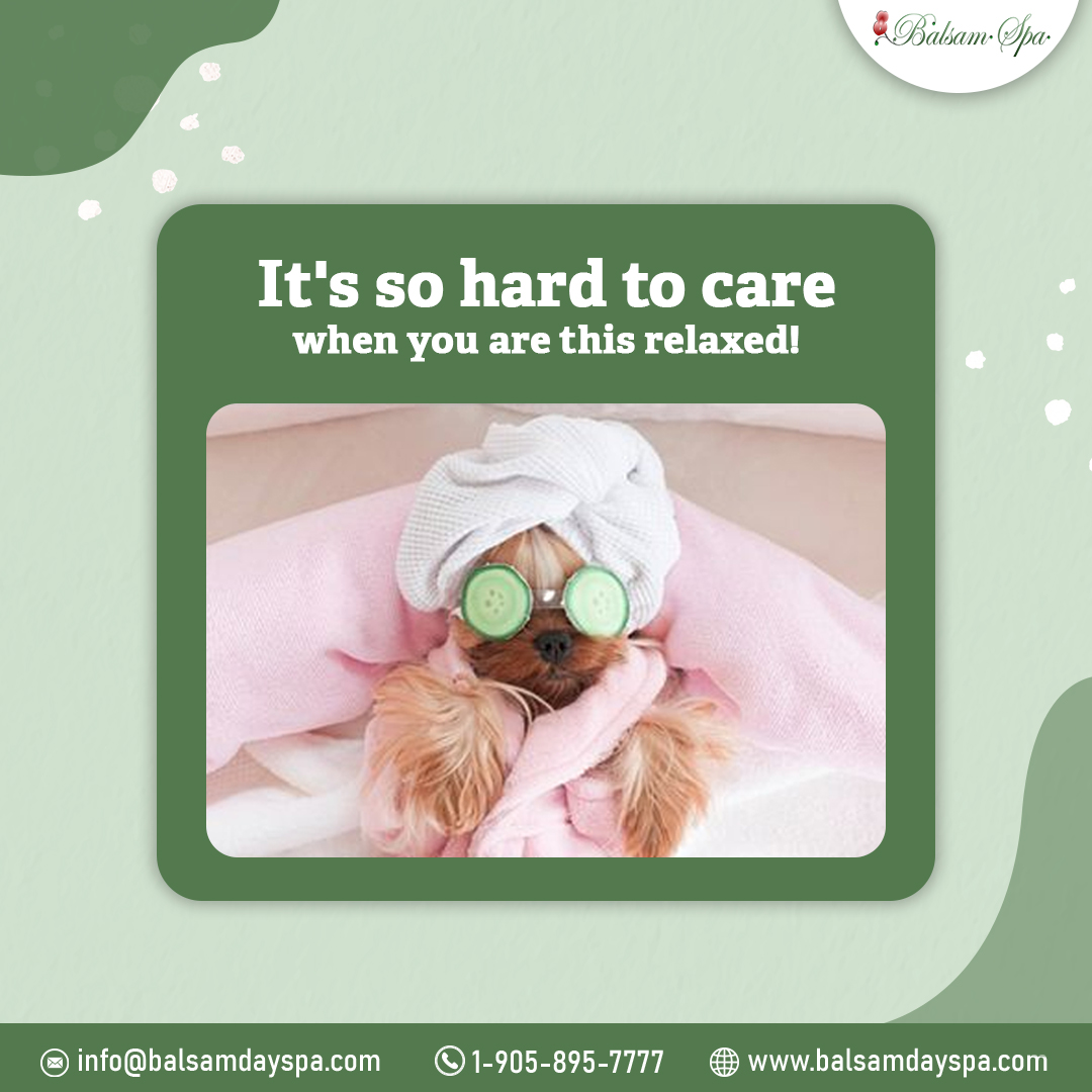 BalsamDaySpa's tweet photo. When the spa is so relaxing, you forget what day it is!
Comment below if you can relate📷 Contact us to Book Your Appointment!
#BalsamDaySpa #spa #skincare #spameme #mensspa #deeptissuemassage #newmarketspas #newmarketcanada #glowingskin #TreatAcneBetter https://t.co/3b0zeyMCZP