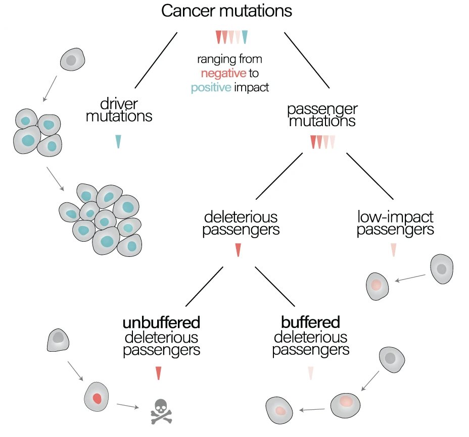 Martin Schaefer tweet media