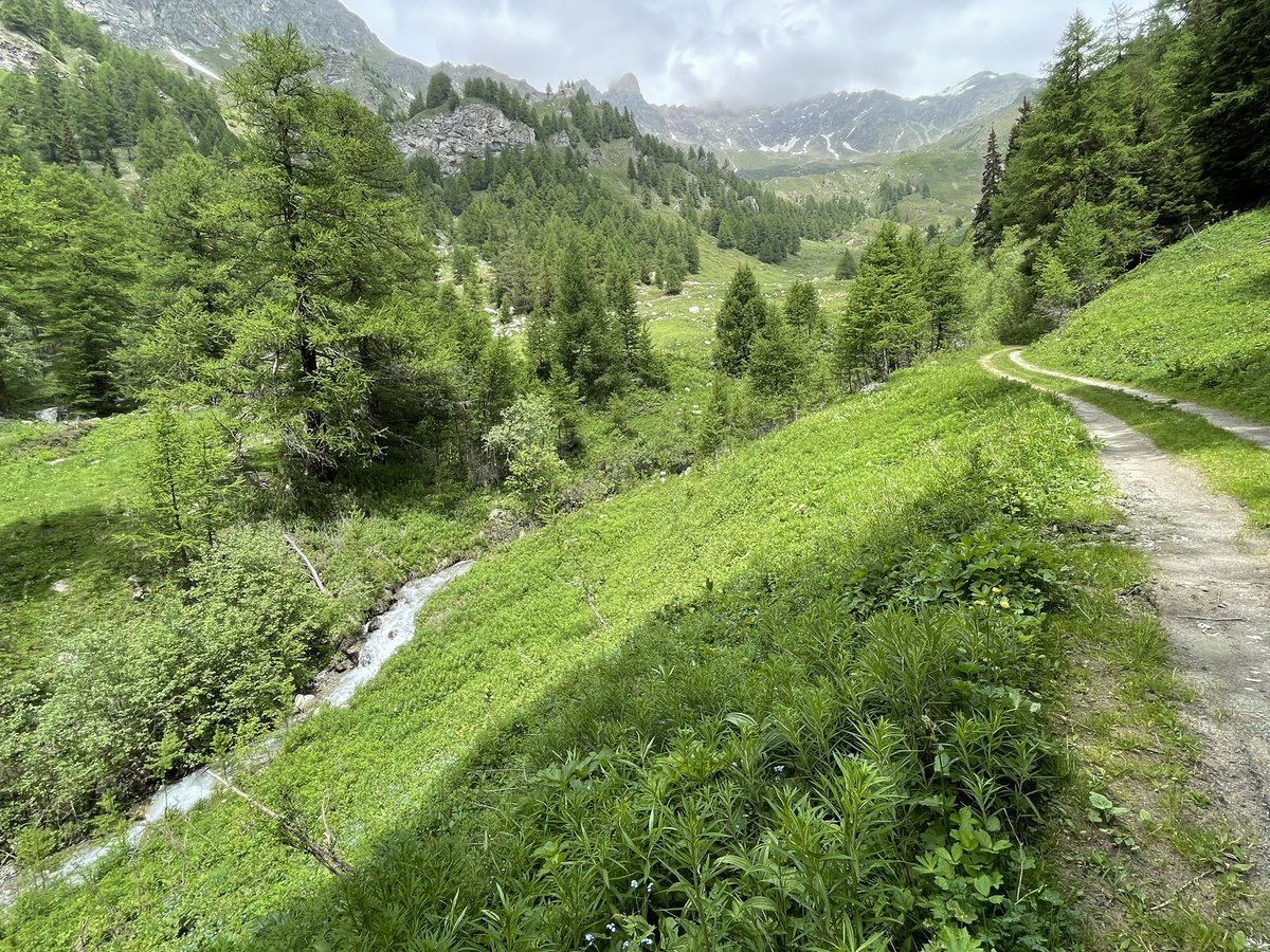 LaSaraVa's tweet photo. Posti brutti dove fare i campus estivi in natura con i ragazzi.
#guidaescursionistica #valledaosta https://t.co/ZVpu2wDau3
