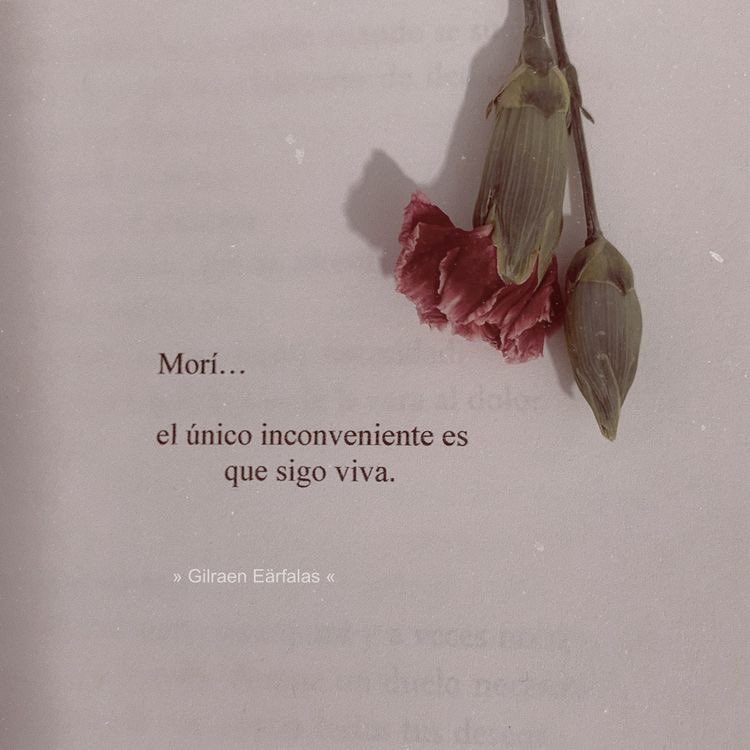 PoesayLibros's tweet photo. https://t.co/3YL763H4fS