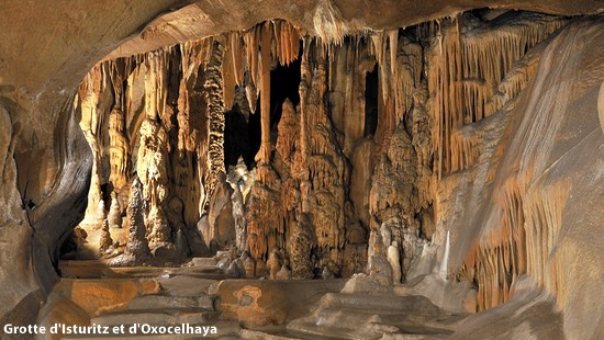 RHS French Dept tweet media