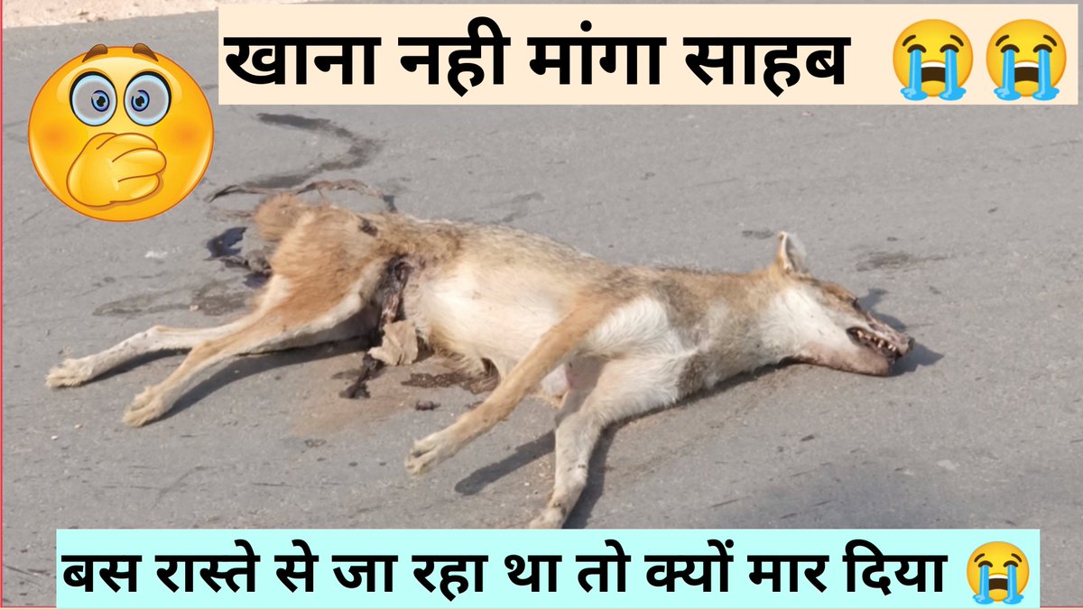 IndiaSelfNews's tweet photo. https://t.co/4A0m7OmaEs https://t.co/6SaCYRAtHY