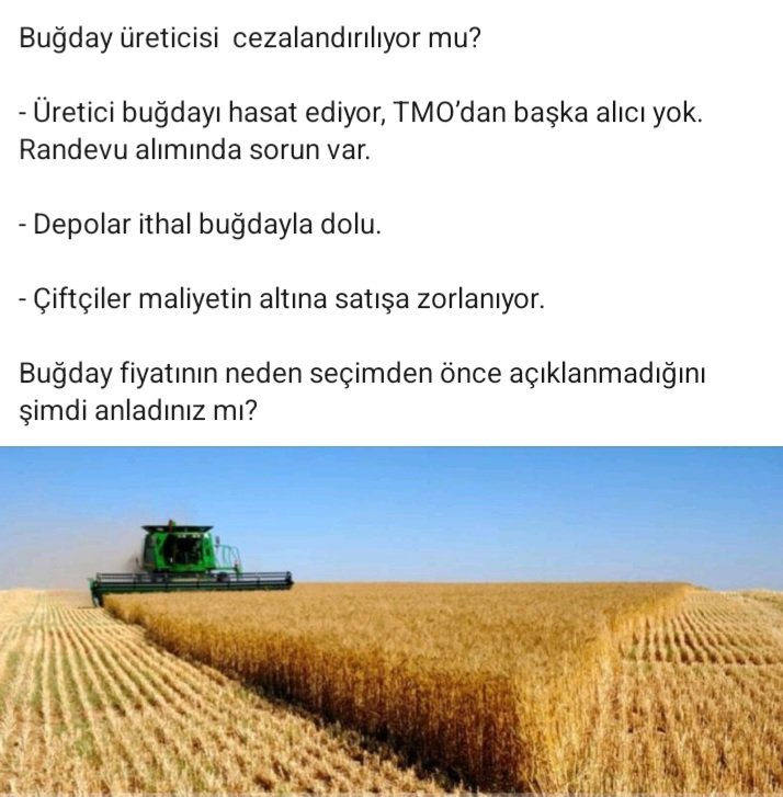 Ohh al ithal buğdayı bakma çiftçinin suratına devlet bununda icabına bakar TMO satarken iyi şimdi ne oldu göreceğiz ....