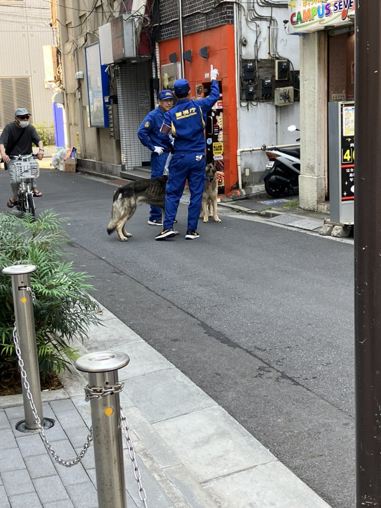 roto_houmon's tweet photo. #錦糸町　

錦糸町　危ない街ですね https://t.co/Yw1SP2Q5cy