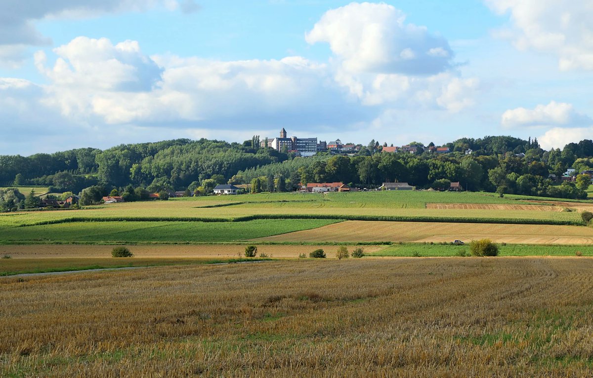 DDD Europe tweet media