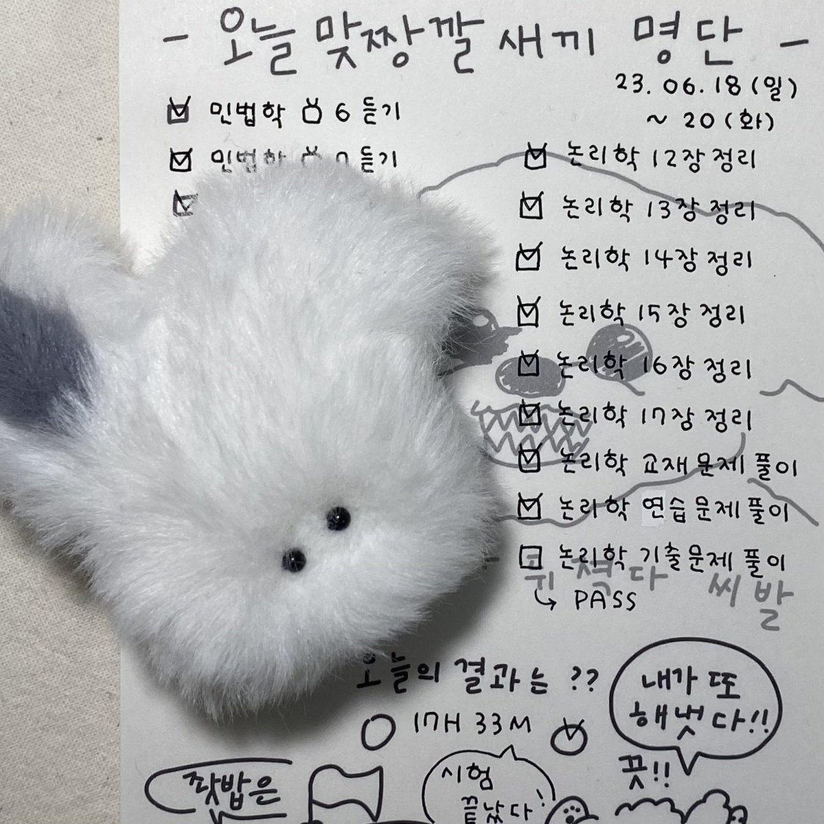 벼락치기로할수잇는건다햇다