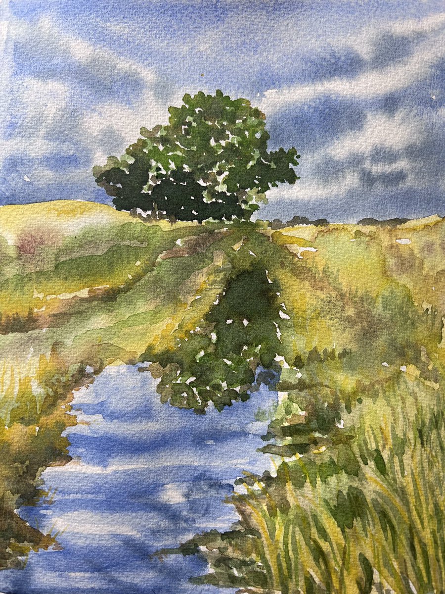 Puddles and sunny skies 🌳🌾 #watercolour #watercolourpainting